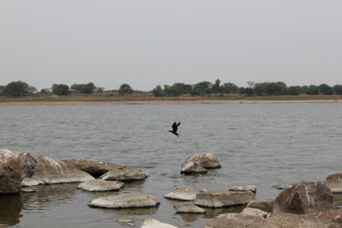 Youth, cops join hands to clean Ameenpur Lake